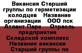 Вакансия Старший группы по герметизации колодцев › Название организации ­ ООО пск “Атлант-Парк“ › Отрасль предприятия ­ Складской комплекс › Название вакансии ­ Старший группы по герметизации колодцев › Место работы ­ р.п. Обухово, Ногинский р-он › Минимальный оклад ­ 30 000 › Максимальный оклад ­ 60 000 - Московская обл. Работа » Вакансии   . Московская обл.